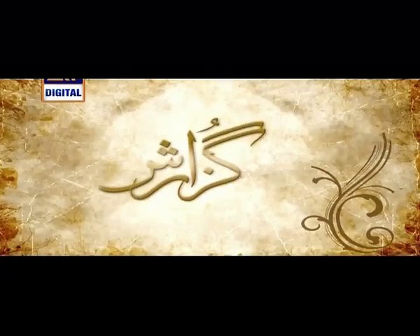 Guzaarish Episode 21 on Ary Digital Promo
