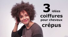 3 idées coiffures pour cheveux crépus