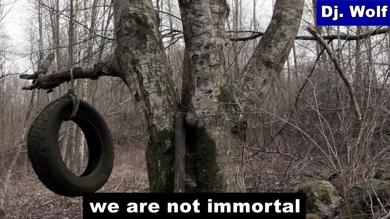 Dj. Wolf - we are not immortal
