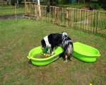 Piscine à balles improvisée