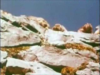 Barbu : un génie incompris !