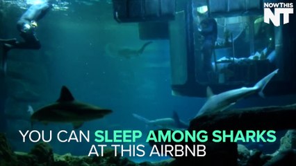 You Can Sleep In This Underwater Bedroom Surrounded By Sharks