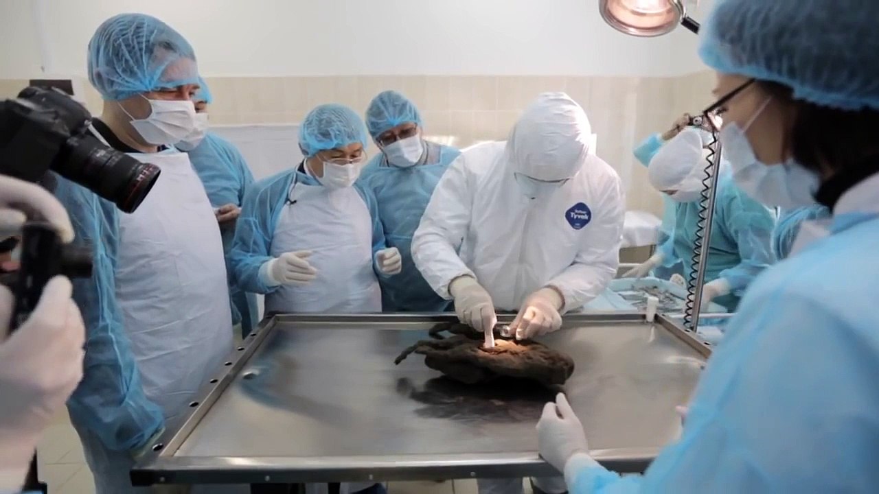 Autopsy of a dog preserved 12,400 years in the ice