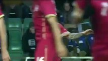 0-1 Alekandar Kolarov SUPER Estonia 0-1 Serbia