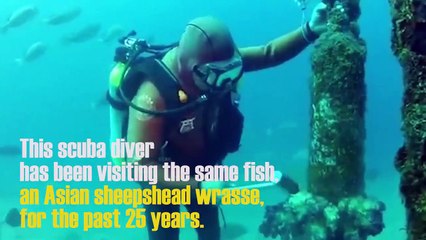 A Scuba Diver and His Friend