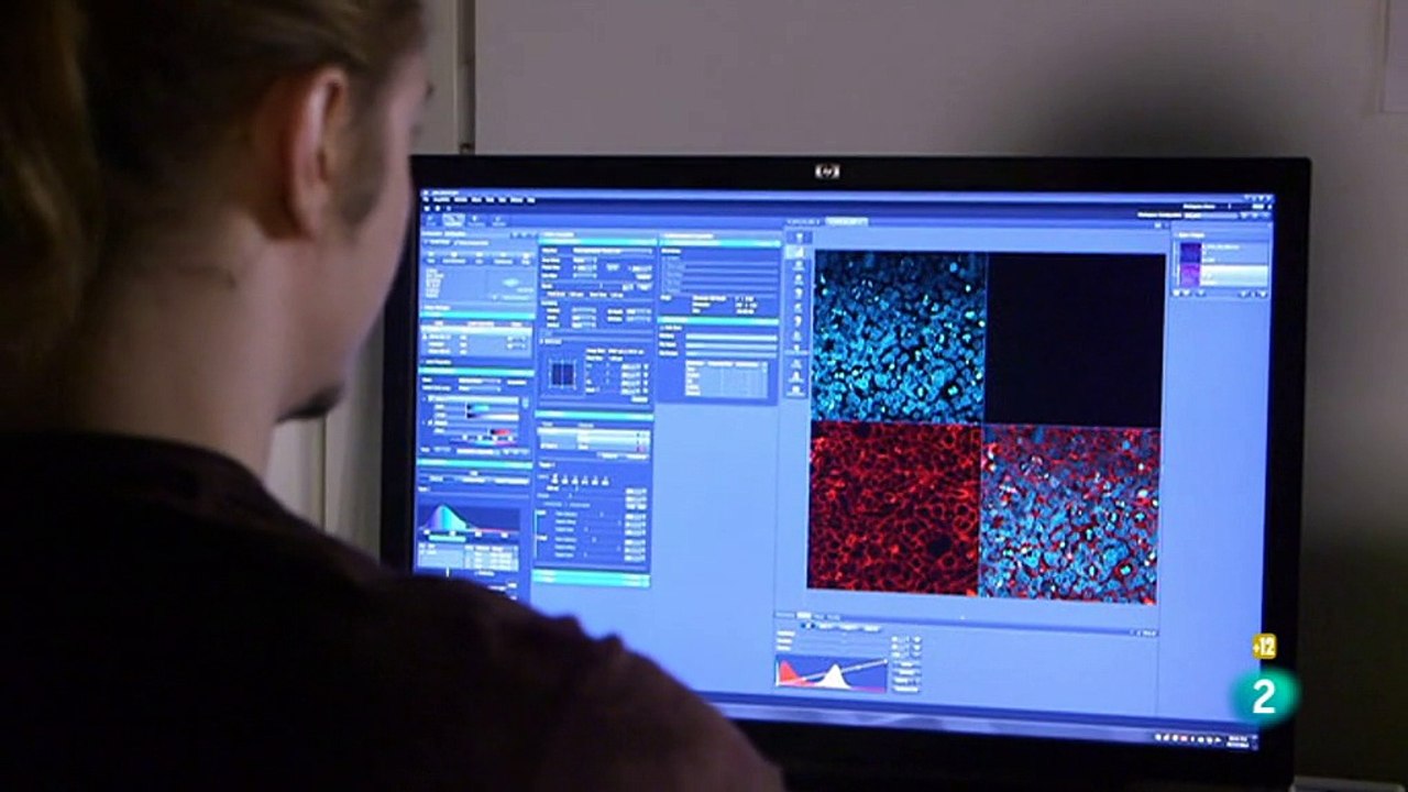 Ciudades irrespirables