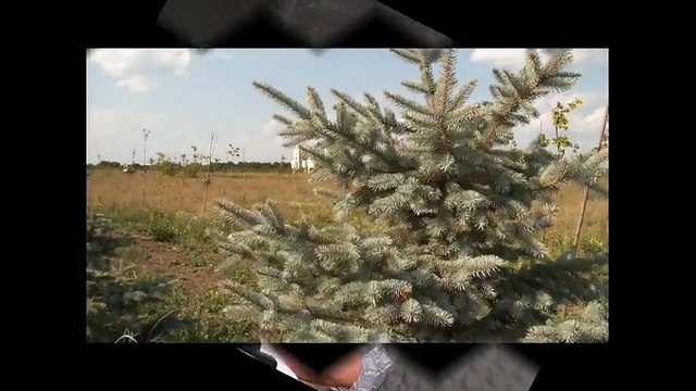 Decadance - band: Heatwave Drum - album: Following The Traced Line