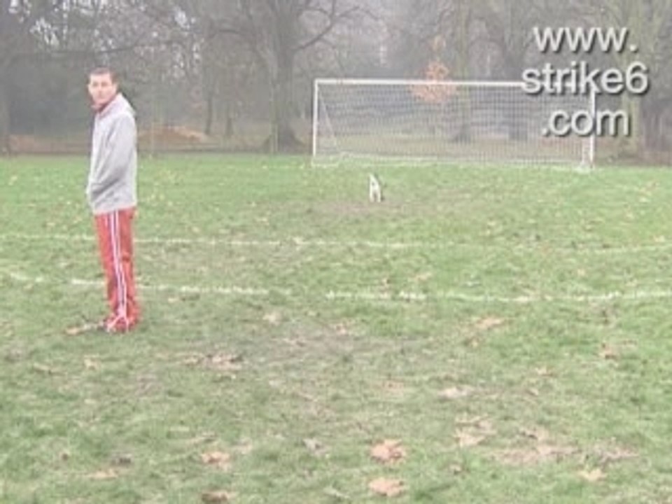 Kick The Dog