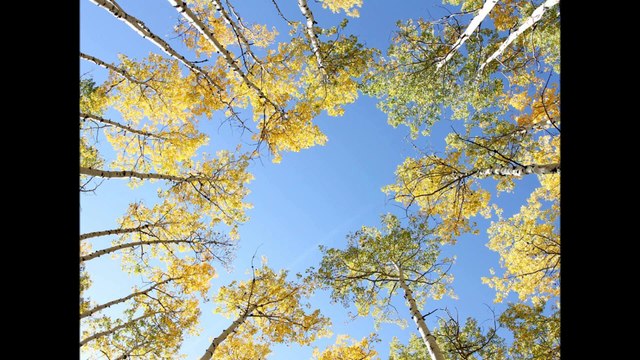 The Circle - band: Heatwave Drum - album: Following The Traced Line (2012)