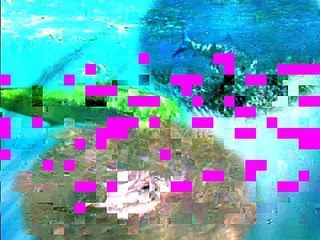 Dinner Bell in Mag Bay