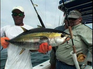 Looking for Marlin at Costa Rica