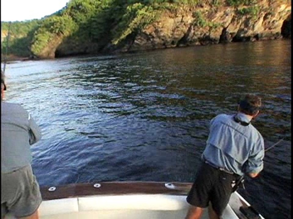 Losing a Tarpon