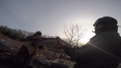 High-Water Steelhead