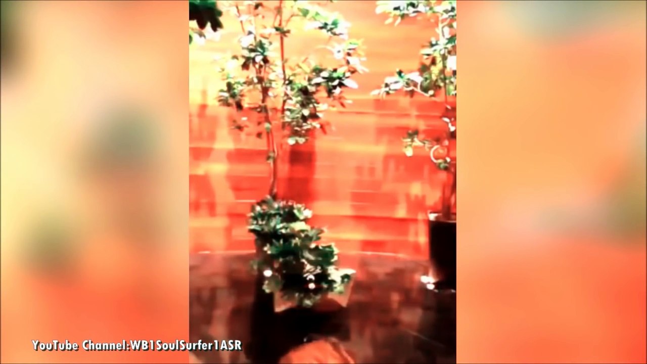 Justin Bieber moments 2016