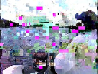 SFTV - Flamingo Goliaths