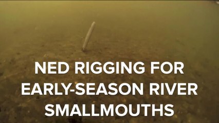 Ned Rigging for Early-Season River Smallmouths