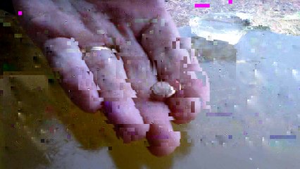 SHOT Show - Winchester PDX1 in Ballistic Gel