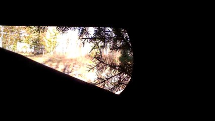 Saskatchewan Whitetail Hunt Day 1