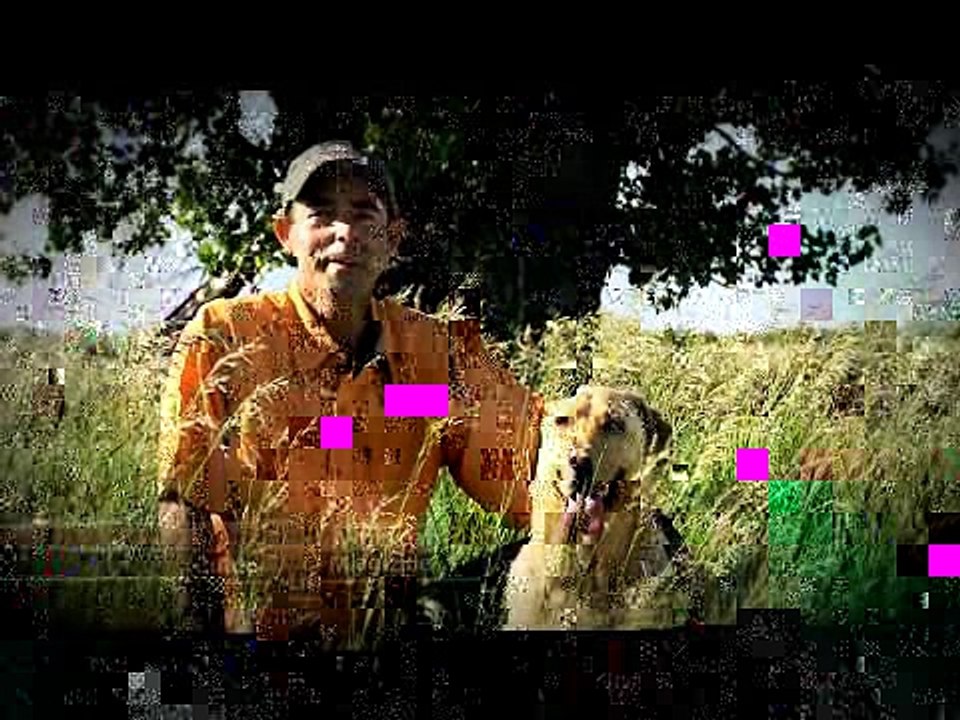 12 When to Use a Ground Blind