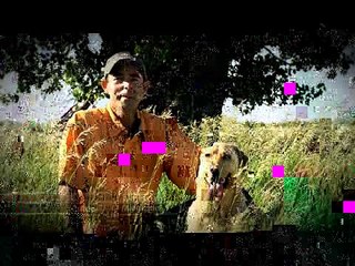 12 When to Use a Ground Blind