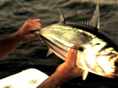 Field & Stream's Hook Shots, Season 2 Ep. 3: Louisiana Redfish