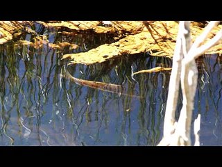 Heroes of Conservation 2009: Gala