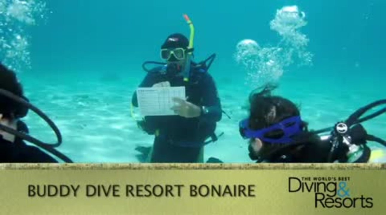 2013 World's Best Diving & Resorts: Buddy Dive Resort Bonaire