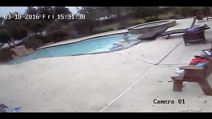 Menina de 5 anos salva mãe que se afogava em piscina