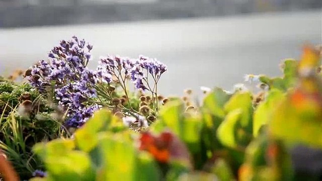 PWA Gran Canaria 2009, Pozo Izquierdo