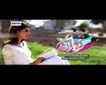 Gudiya Rani Episode 188 on Ary Digital 29th March 2016 P1