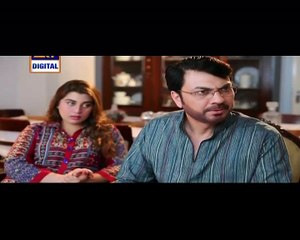 Shehzada Saleem Episode 38 on Ary Digital P2