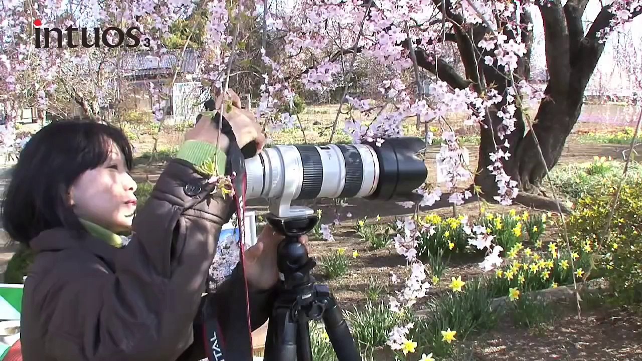 プロ写真家の現場　自然・動物写真家 河合麻紀5