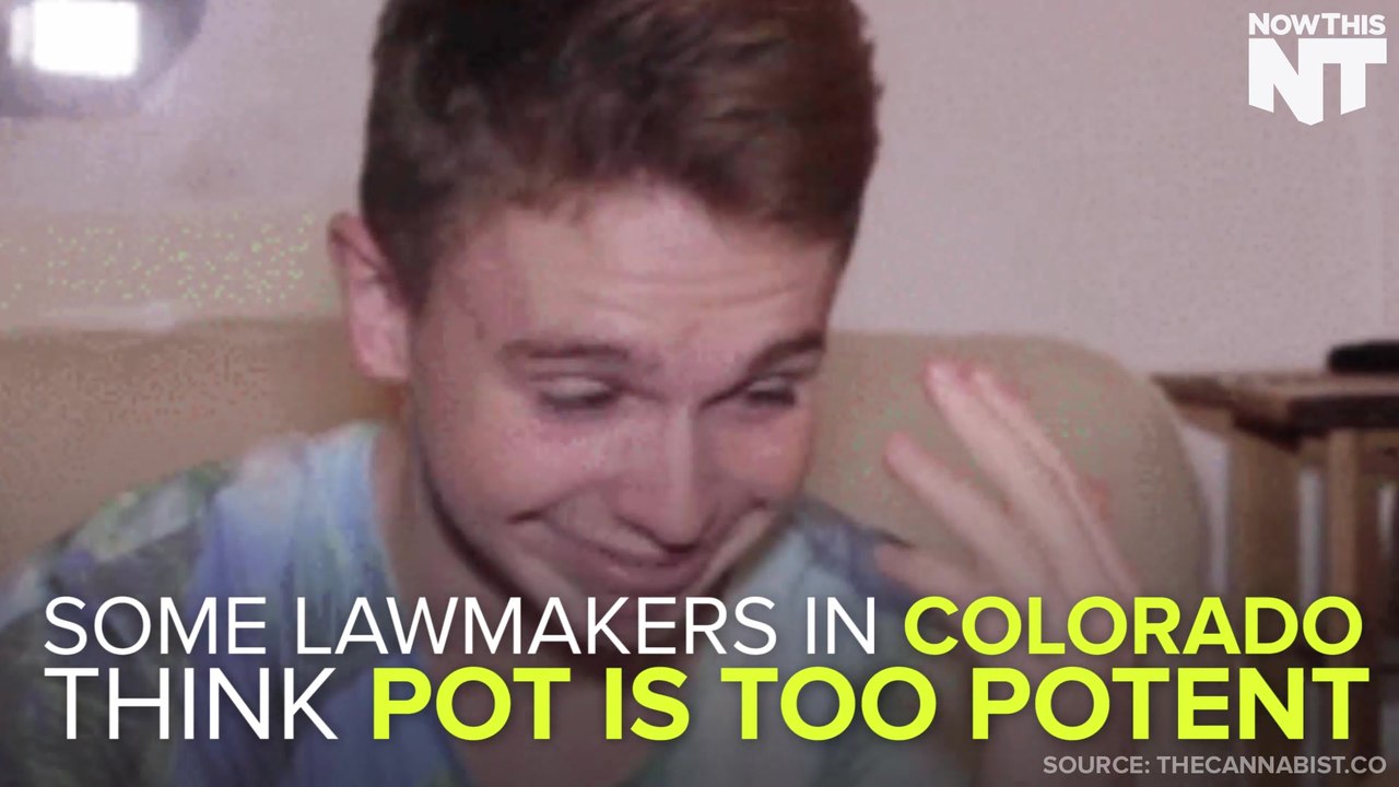 Colorado Wants To Regulate THC Potency Statewide