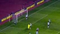 Portugal 2 - 1 Belgium All Goals and Highlights 29/3/2016