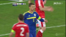 Switzerland 0-2 Bosnia - All Goals and Highlights 29.03.2016