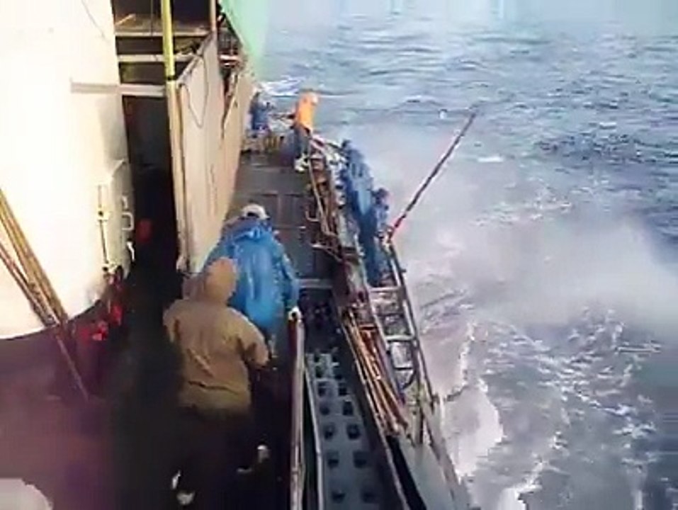 صيد السمك بشكل جماعي بالصنارة