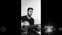 Salih Yılmaz-Şelale - CAD