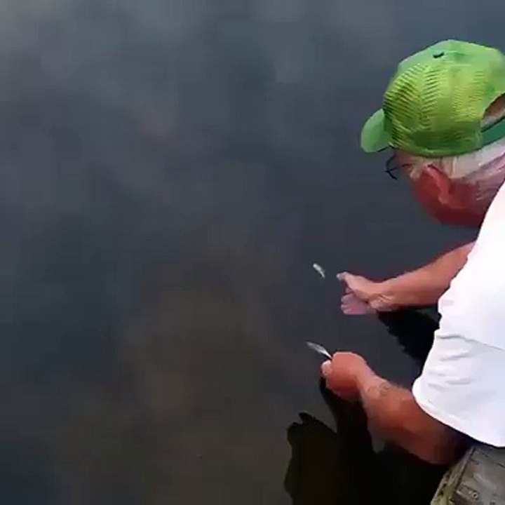 رجل يصطاد السمك بيده