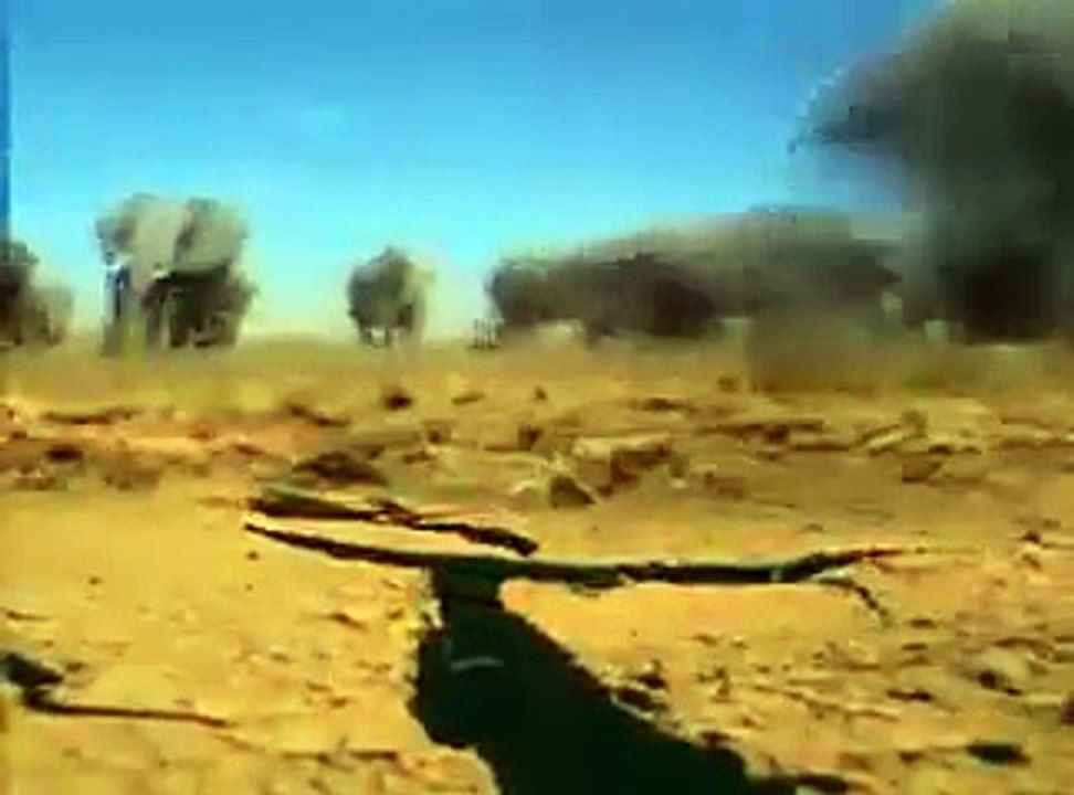 سبحان الله ضفدعة تنقذ صغارها من الجفاف