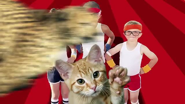 Kids will howl over “Just Joking Cats,” and we’re not kitten!