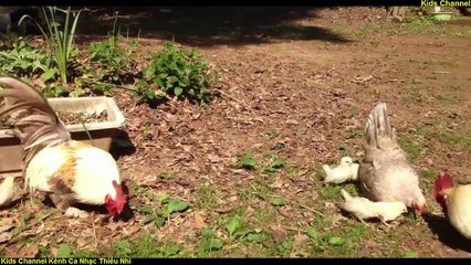 Đàn Gà Trong Sân - Một Con Vịt - Ca Nhạc Thiếu Nhi [HD]