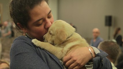 Can You Really Design Happiness? Yes, If There Are Puppies Involved.