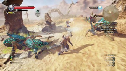 THE WITCHER 3 WALKTHROUGH PART 216 - THROUGH TIME AND SPACE