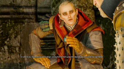 THE WITCHER 3 WALKTHROUGH PART 217 - THROUGH TIME AND SPACE