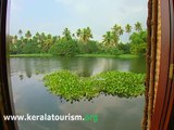 Houseboats in the backwaters of Kerala