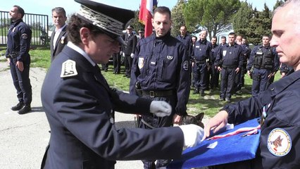 Marseillaise, gradés en tenue et médaille pour un chien policier