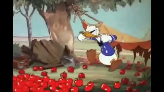 Donald Ducks Greatest Hits 1 Hour Of Quacking Episodes!