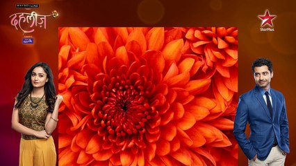 Dil Ki Dahleez Music Video Contest - Video ID: 74