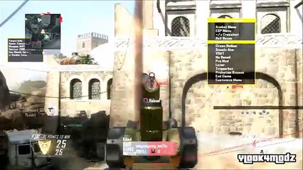 [1.19_BO2]Jericho Engine Non Host Mod Menu   Download!!! (Aimbot,RedBoxes ect)