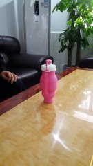 Fashion Collapsible Water Bottle BPA Free Water Bottles best gift for kids